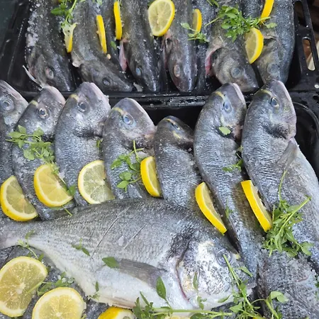 Olive Grove Beachside 80m From Air-conditioned With Family Spirit Under Biokovo * Živogošće