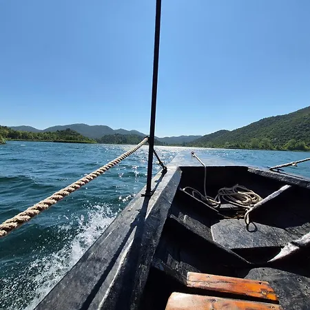 Camping Olive Grove Beachside 80m From Air-conditioned With Family Spirit Under Biokovo