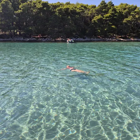 Camping Olive Grove Beachside 80m From Air-conditioned With Family Spirit Under Biokovo Živogošće