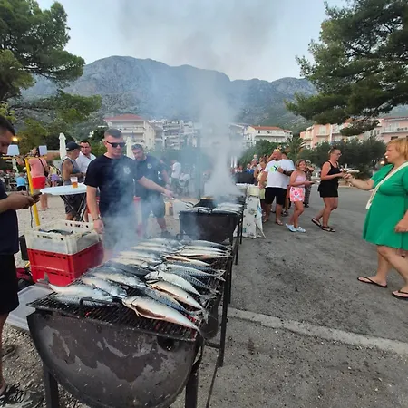 Olive Grove Beachside 80m From Air-conditioned With Family Spirit Under Biokovo Camping *