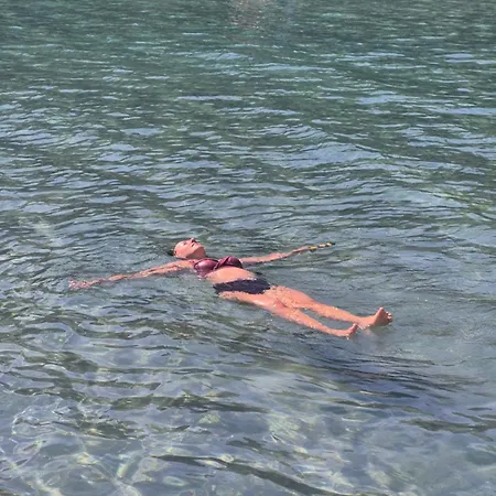 Camping Olive Grove Beachside 80m From Air-conditioned With Family Spirit Under Biokovo *